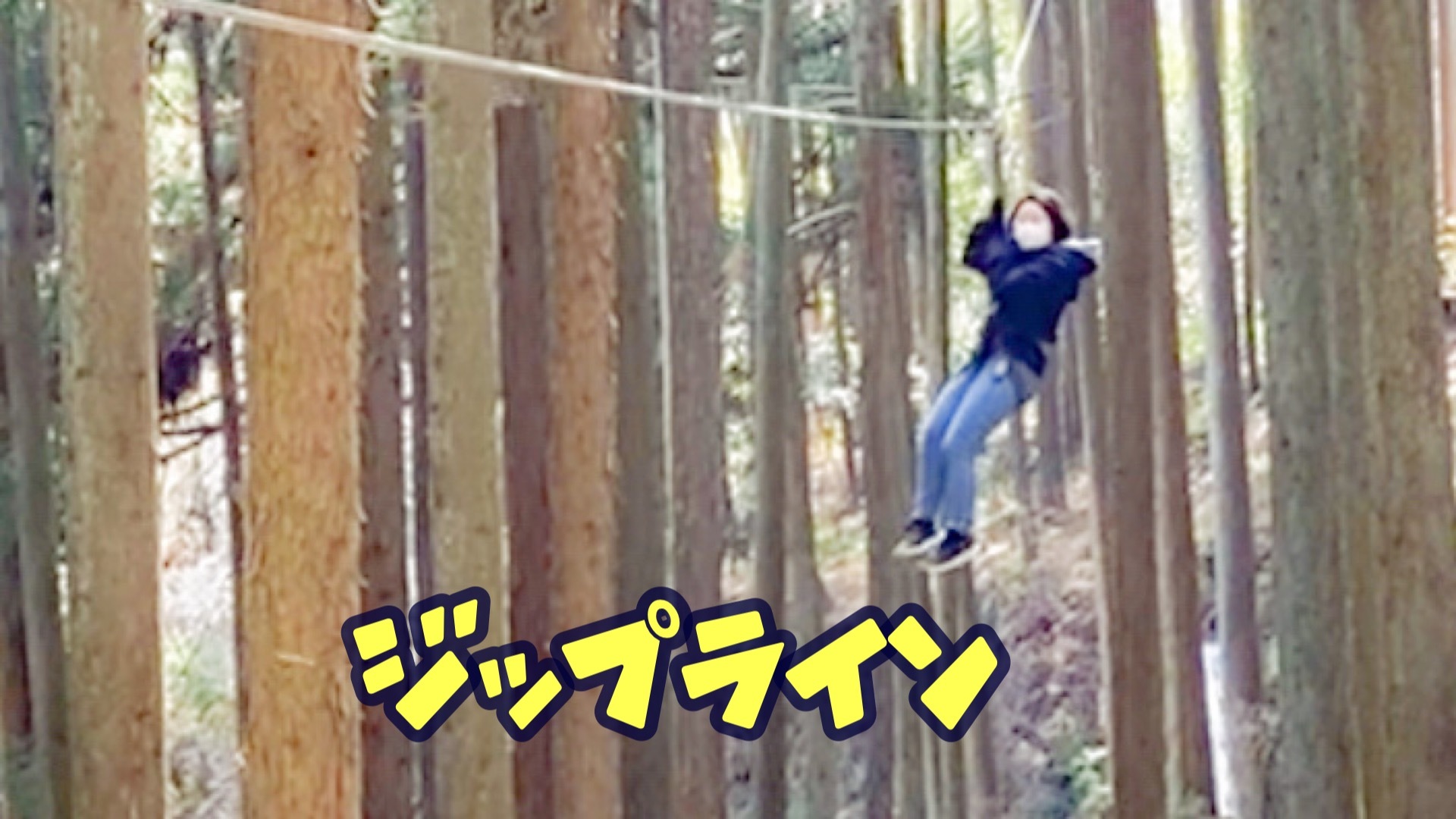 ジップラインで木立の中を駆け抜けるスリルと爽快感！七沢で「飛びたい」が叶う！