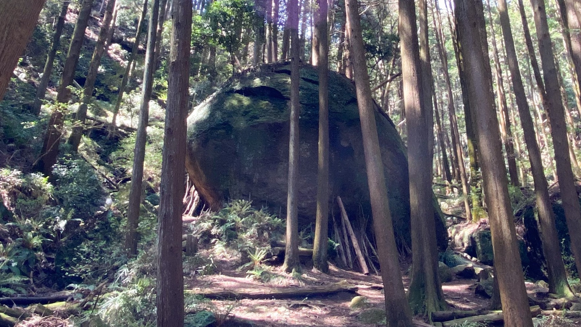 七沢の森に佇む巨石のパワースポット「亀石」