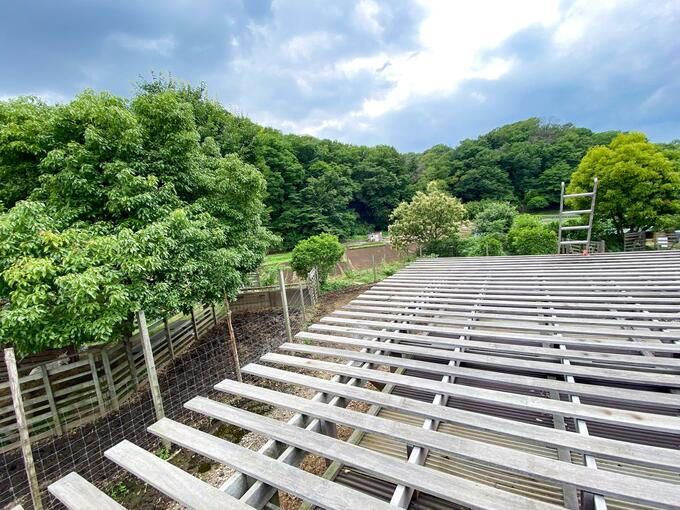 小屋の上に登ってみました
