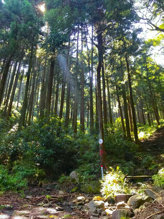 画像／厚木市観光協会さんよりご提供