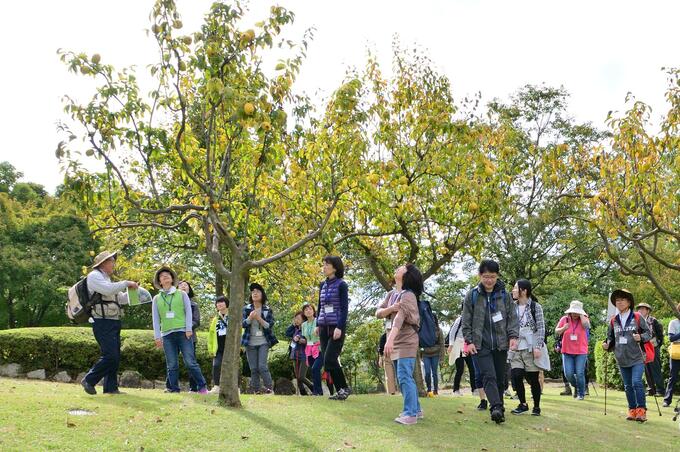 画像／厚木市観光協会さんよりご提供