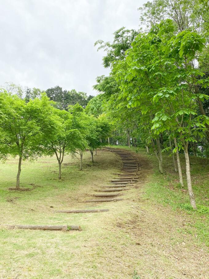 初夏のあつぎつつじの丘公園