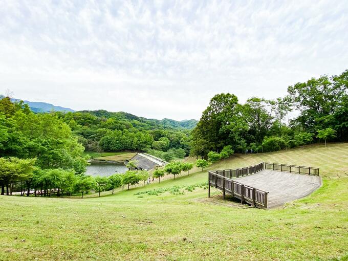初夏のあつぎつつじの丘公園