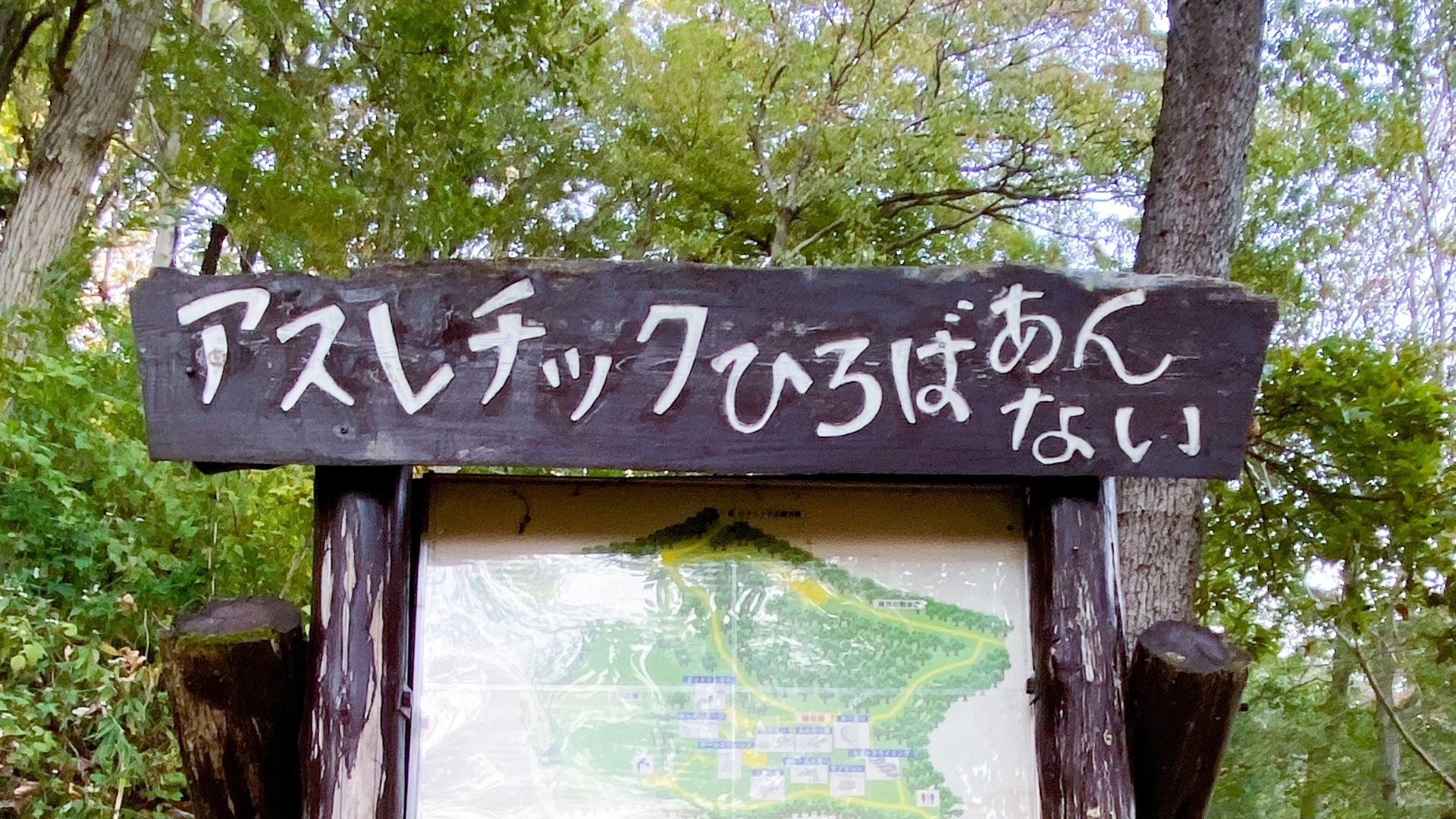 【厚木市】自然の中で思いっきり遊べるアスレチック広場