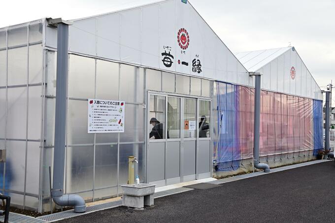 画像／厚木市観光協会さんよりご提供