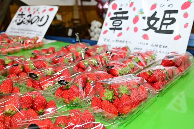 画像／厚木市観光協会さんよりご提供