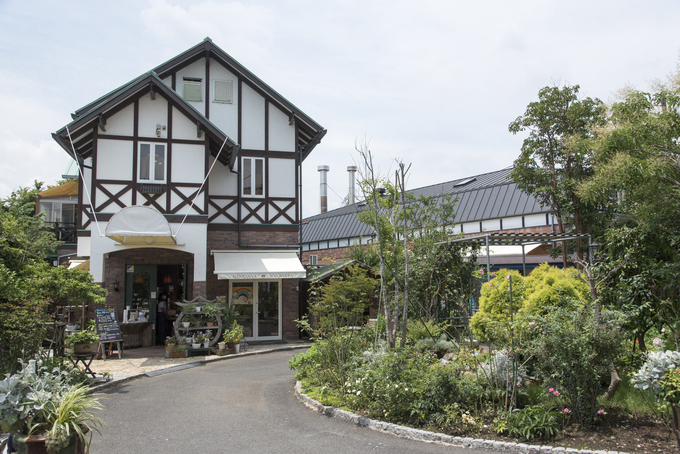 画像／厚木市観光協会さんよりご提供