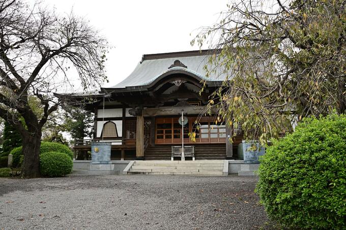 画像／厚木市観光協会さんよりご提供