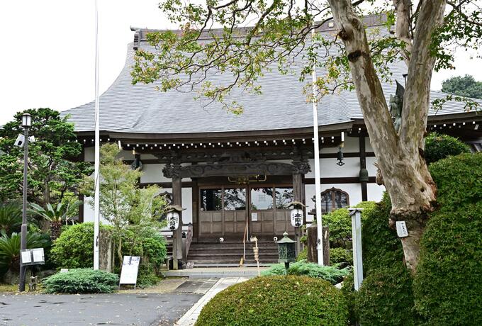 画像／厚木市観光協会さんよりご提供
