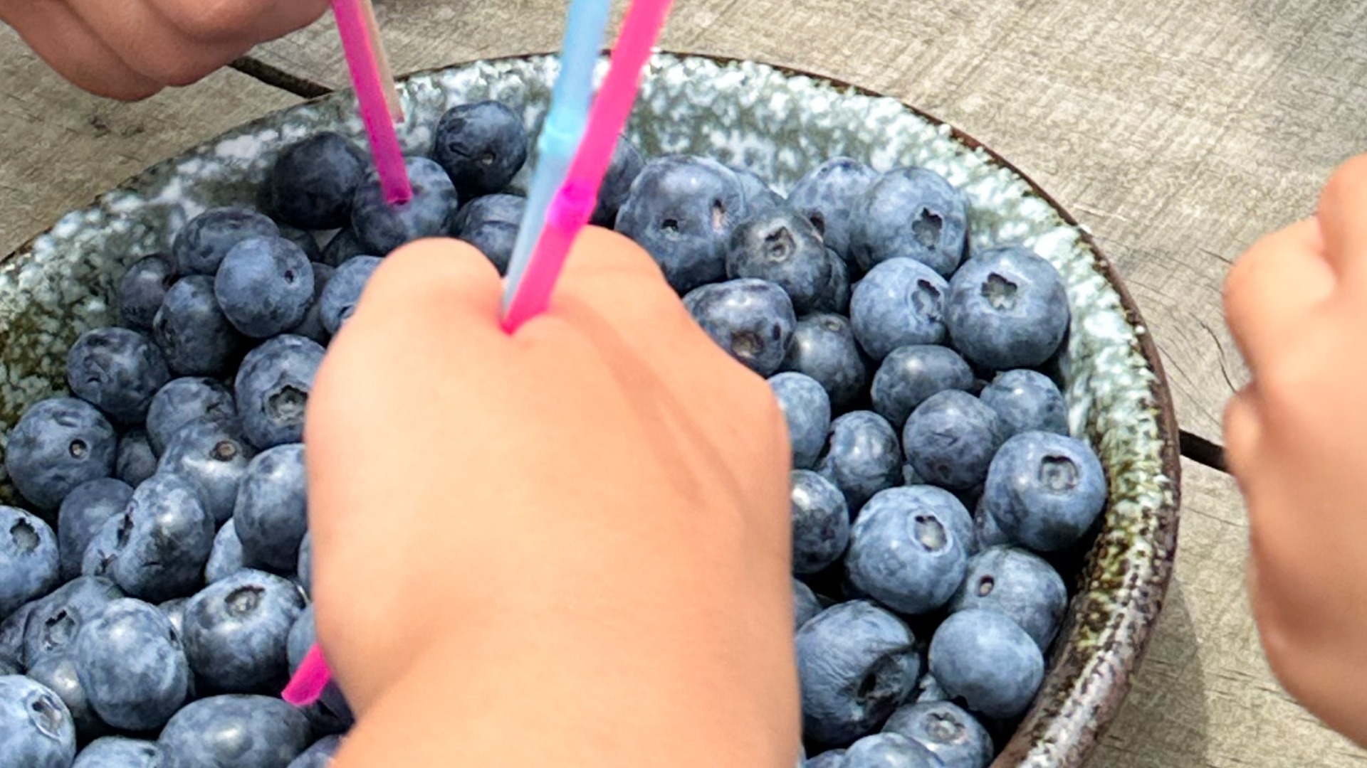 【厚木市】ペットと過ごせる森のマルシェ♪厚木農園『ちっちゃ森マルシェ』7/15(土)、16(日)開催