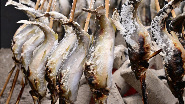 【厚木市】釣る！見る！食べる！アユ満喫ツアーで夏休みの思い出を♪